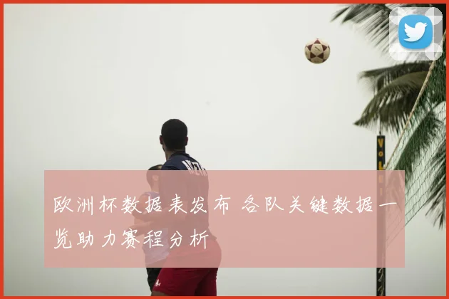 欧洲杯数据表发布 各队关键数据一览助力赛程分析