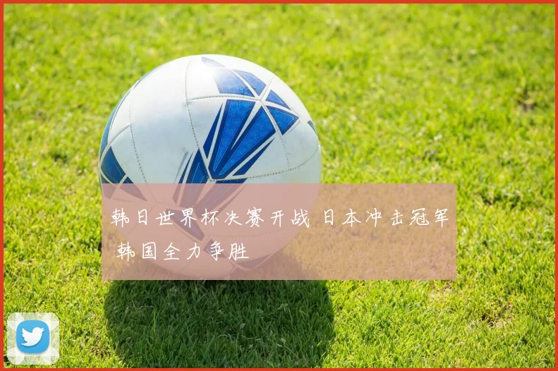 韩日世界杯决赛开战 日本冲击冠军 韩国全力争胜